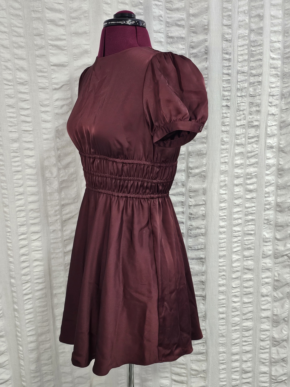 Aritzia Sunday Best Anderson Short Babydoll Puff-Sleeve Smocked Waist Dress - Picture 7 of 15
